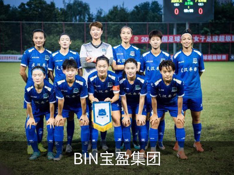BIN宝盈集团介绍